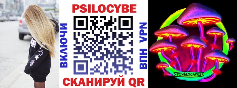 Галлюциногенные грибы Psilocybe  закладки  kraken ССЫЛКА  Прохладный 